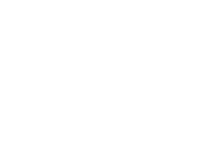 מומחיות בתמ